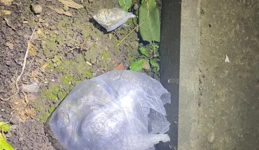 ДБР викрило злочинну мережу з вирощування та збуту канабісу, за участю поліцейського Івано-Франківщини